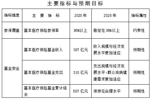 定安县医疗保障局最新发展规划