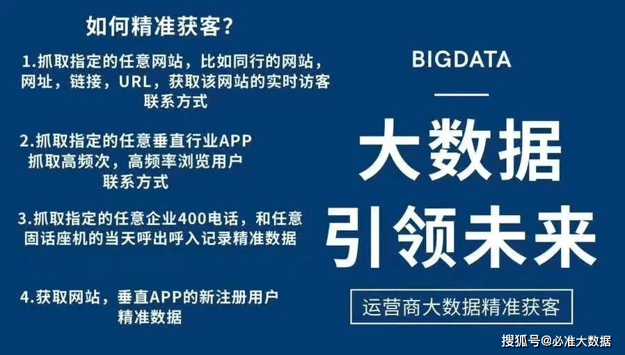 关于精准跑狗图正版与透彻释义解释落实的深度解析