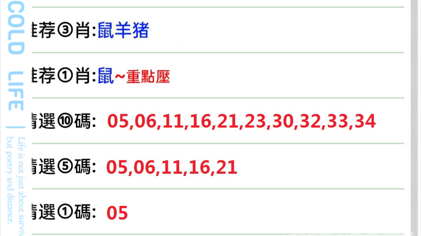 新澳门六肖精专释义解释落实展望