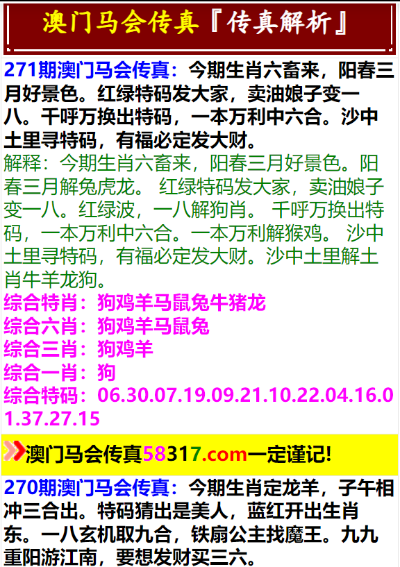 马会传真资料2024新澳门，领略释义、解释与落实的重要性