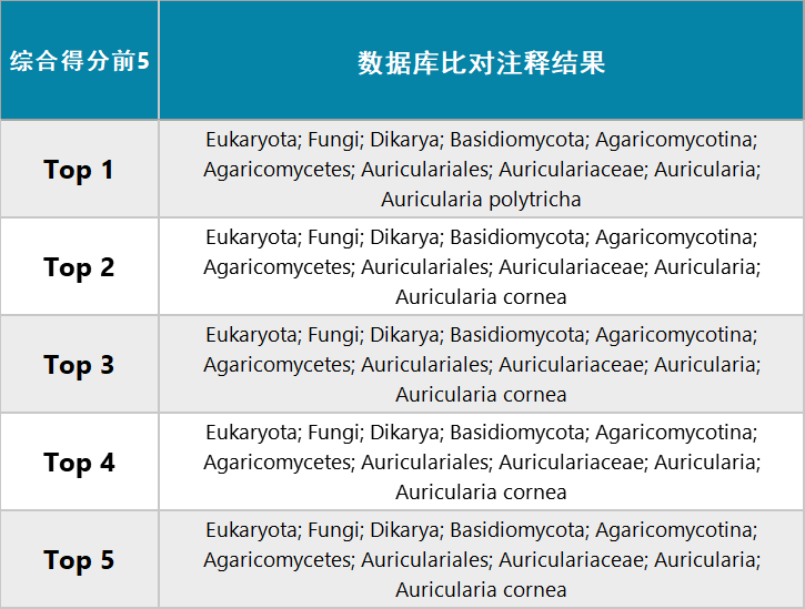 二四六944cc246免费资料大全与全新释义解释落实深度探讨