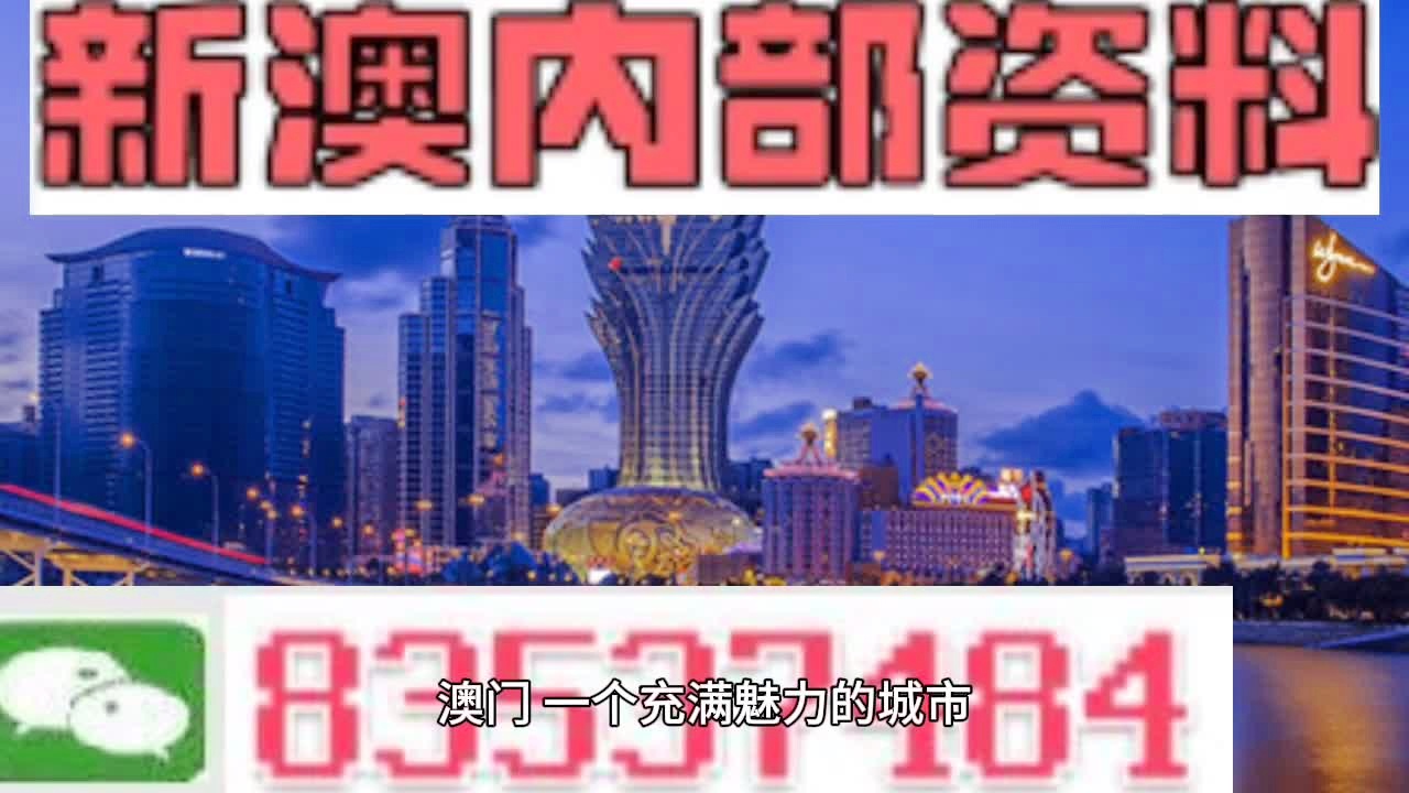 澳门高级内部VIP资料费用释义解释落实详解