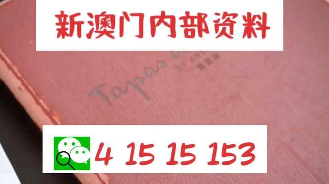 新澳精准资料免费下载，容忍释义与落实的重要性