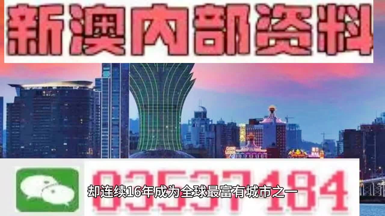 新澳2024年精准资料33期，闪电释义与解释落实的重要性