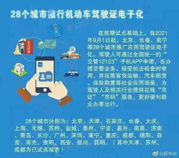 关于正版资料免费大全挂牌的独特解读与落实策略，展望2024年及其未来