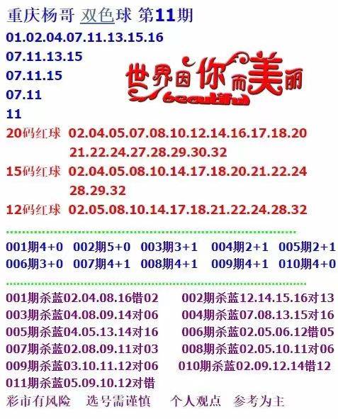 新澳天天开奖资料大全第1050期，分配释义、解释与落实