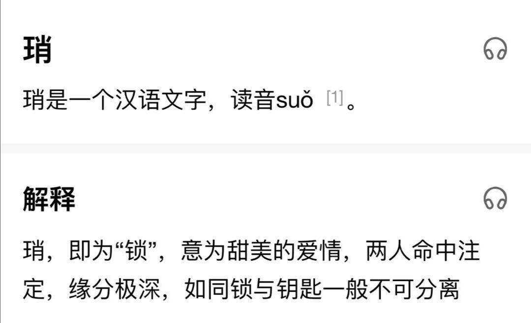 白小姐一码一肖中特一肖，考核释义、解释与落实