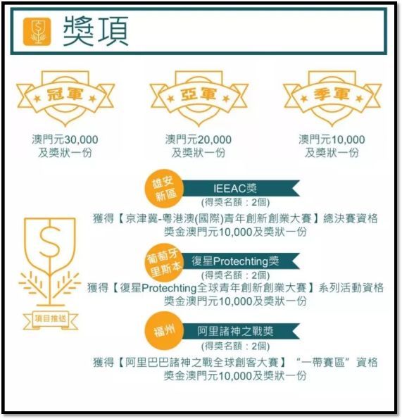 澳门100%最准一肖，深度解析与释义解释落实的重要性