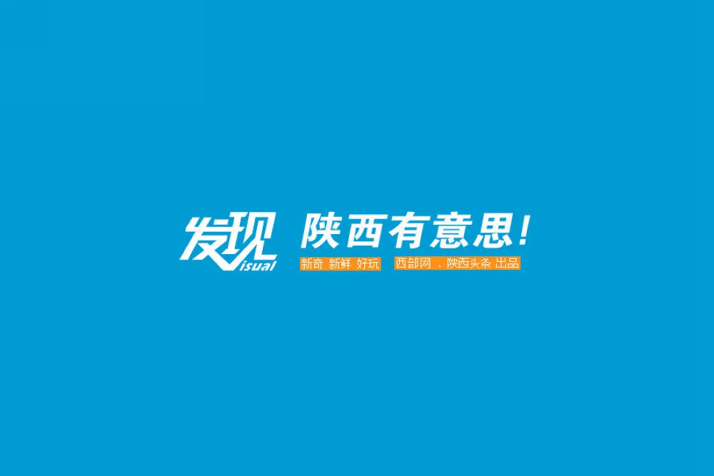 探索与发现，关于800图库免费资料大全的丰富内涵与招募释义的深入解读