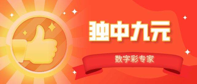 探索未来彩票奥秘，刺激释义与落实行动在澳门今晚开奖的舞台上