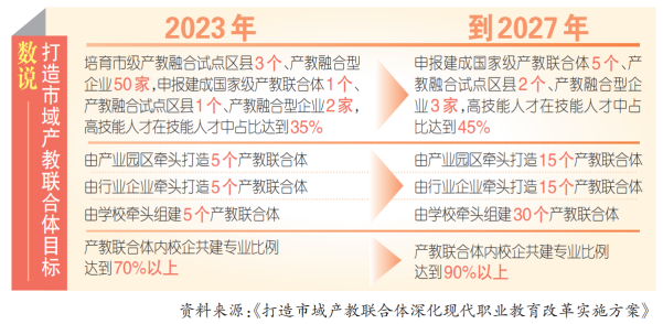 关于2024正版资料免费公开的深入解读与实施策略