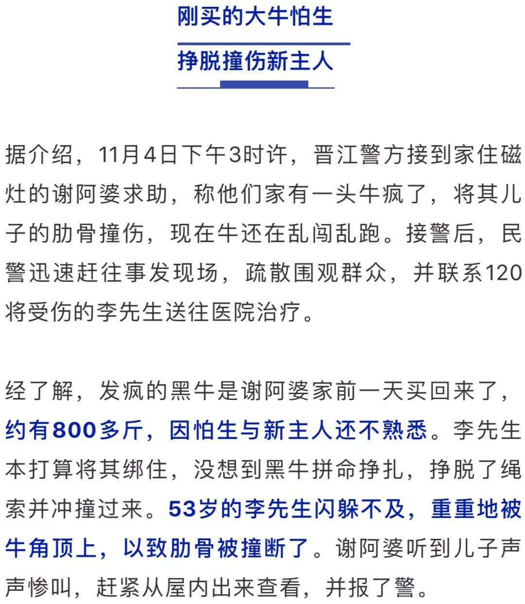 三肖必中特三肖三码官方下载与确认释义解释落实的全面指南