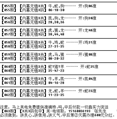 揭秘十二生肖与数字密码，2024年的损益释义与落实