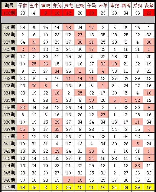 澳门特马今晚开奖，专家解读与落实分析第56期