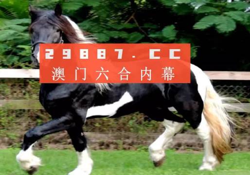 澳门香港一肖一码一中一特免费公开，利润释义、解释与落实