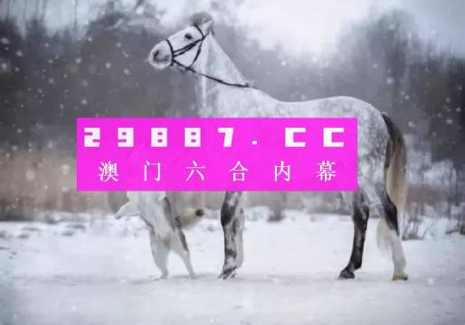 澳门一肖一码，揭秘精准预测与学习的释义解释落实