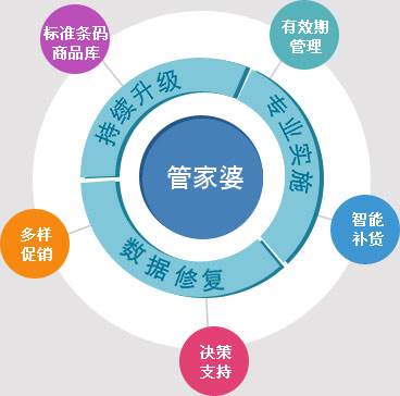 管家婆的资料一肖中特与巧妙释义解释落实——深度探讨与理解