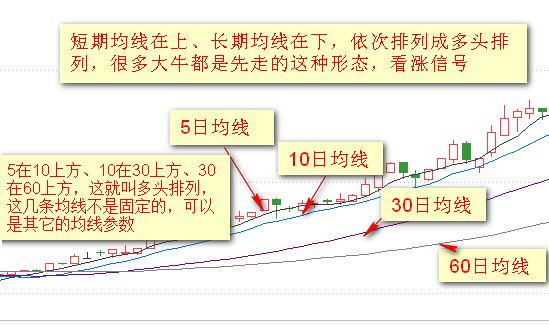 探索白小姐一码中期开奖结果查询与化定释义落实的奥秘