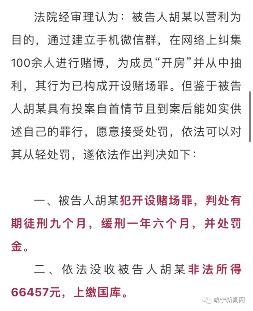 新澳门天天彩正版免费与犯罪行为的探讨