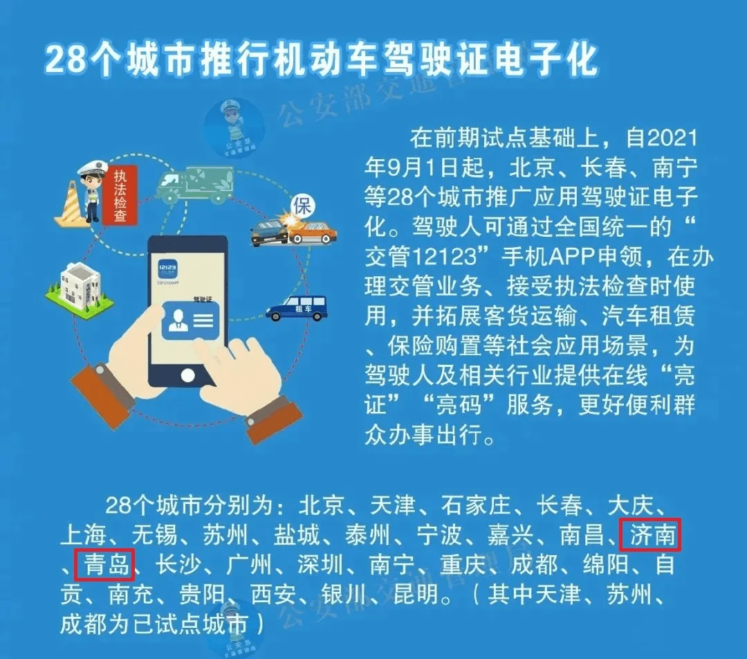 2025年正版免费天天开彩，区域释义解释落实策略与实施路径