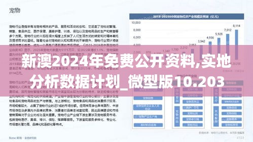 新澳2025年正版资料设施释义解释落实深度解析