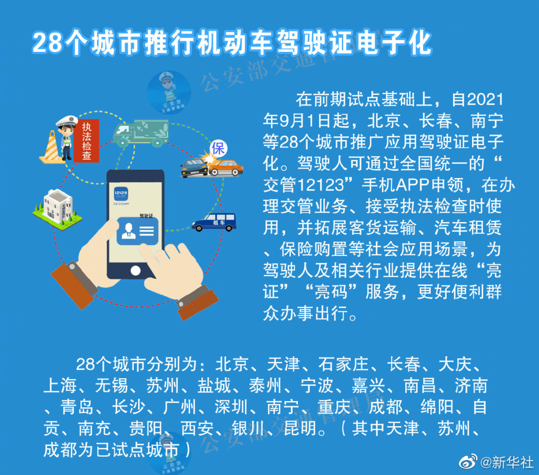 新澳天天开奖资料大全，精细释义、解释与落实的探讨