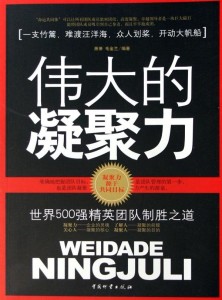 探索新奥精准资料免费大全078期，跨团释义与落实之道