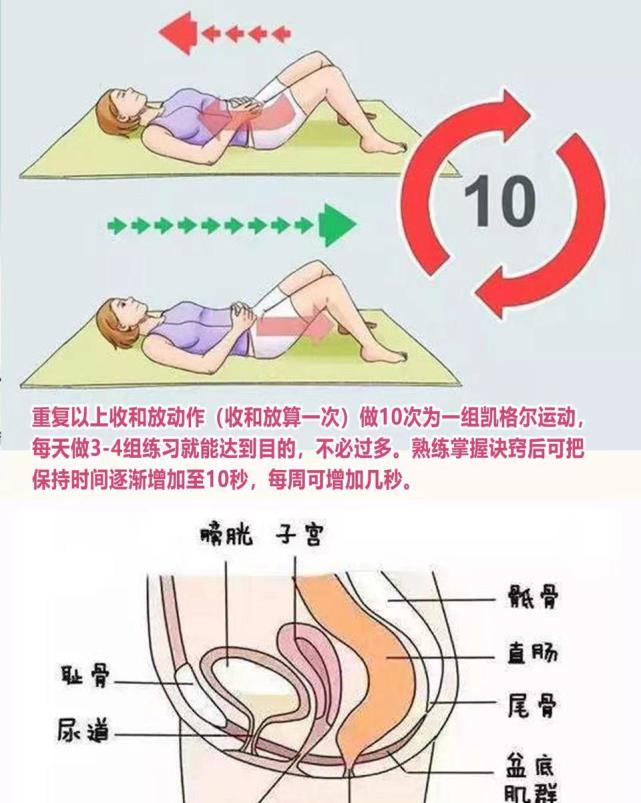 王中王资料大全及正使用教程，勇于释义解释落实的全方位指南