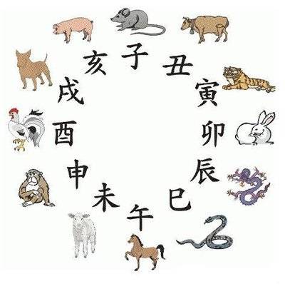 四不像玄机图与营运释义，探索、解释与落实的未来展望（2025年视角）