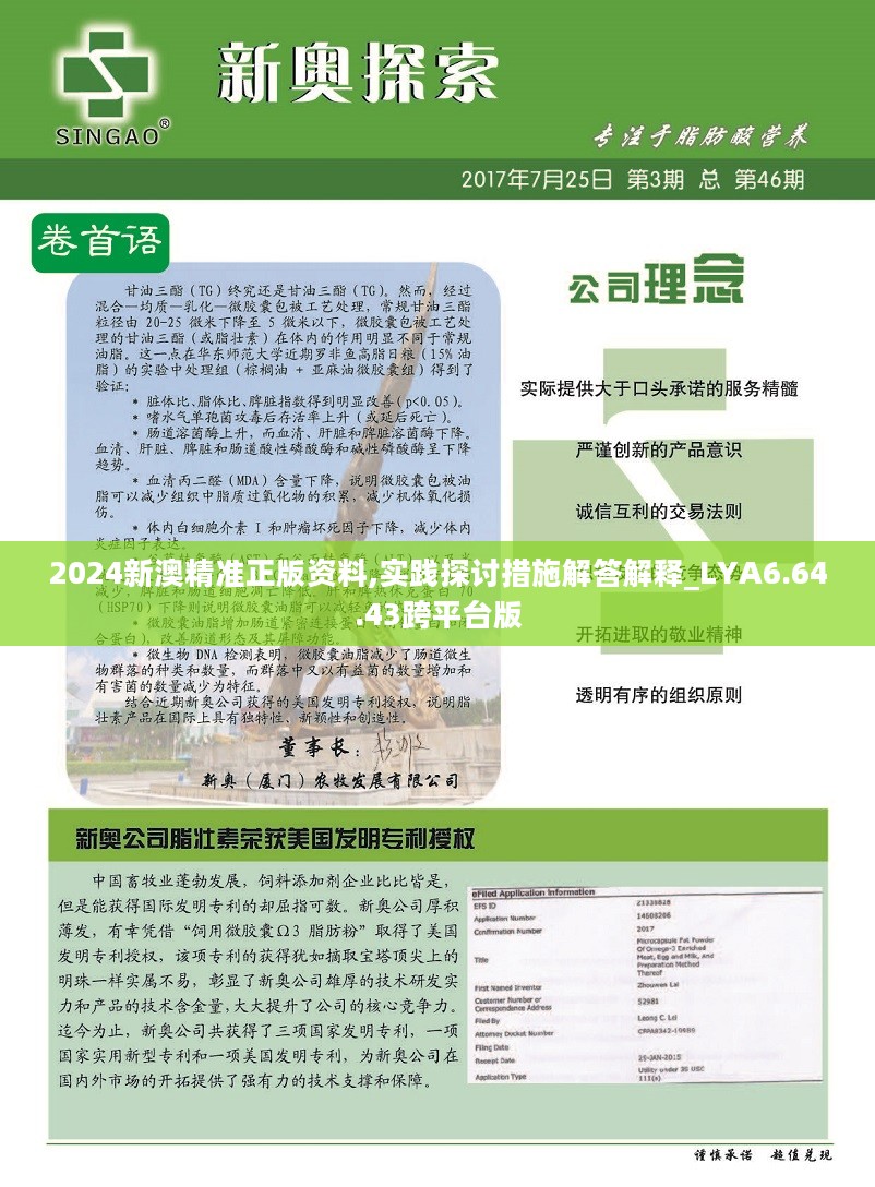 新澳最新最快资料新澳58期，绘制释义解释落实的重要性