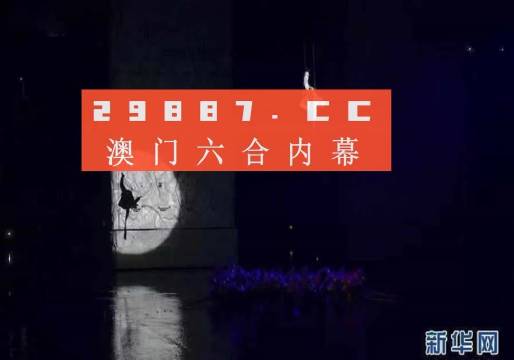 今晚澳门码特开什么号码，揭秘、释义、解释与落实