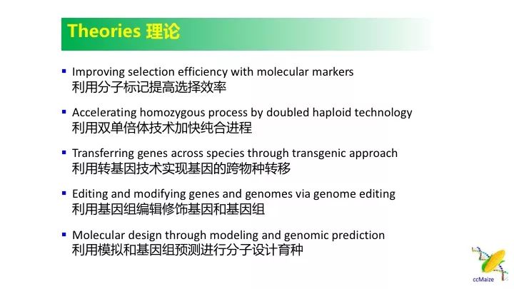 新澳门三中三码精准与新技术释义的实践落实