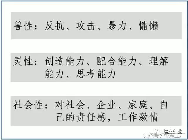 探索2025新澳门特免费资料的特点，觉察释义与落实分析