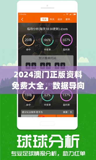 2025新澳门正版资料查询，描述、释义、解释与落实