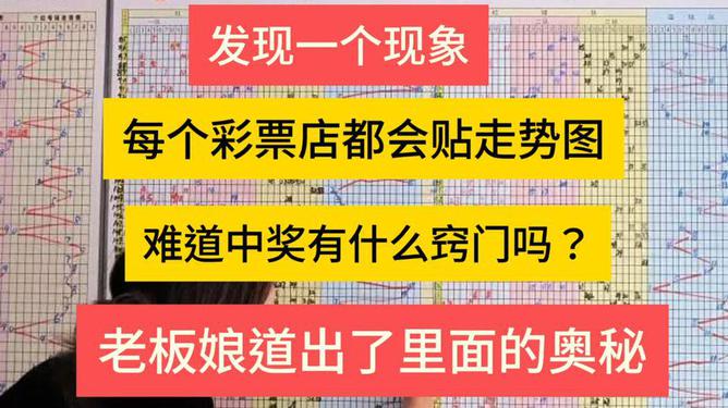 探索未来彩票奥秘，澳门今晚开奖号码的刺激与释义落实