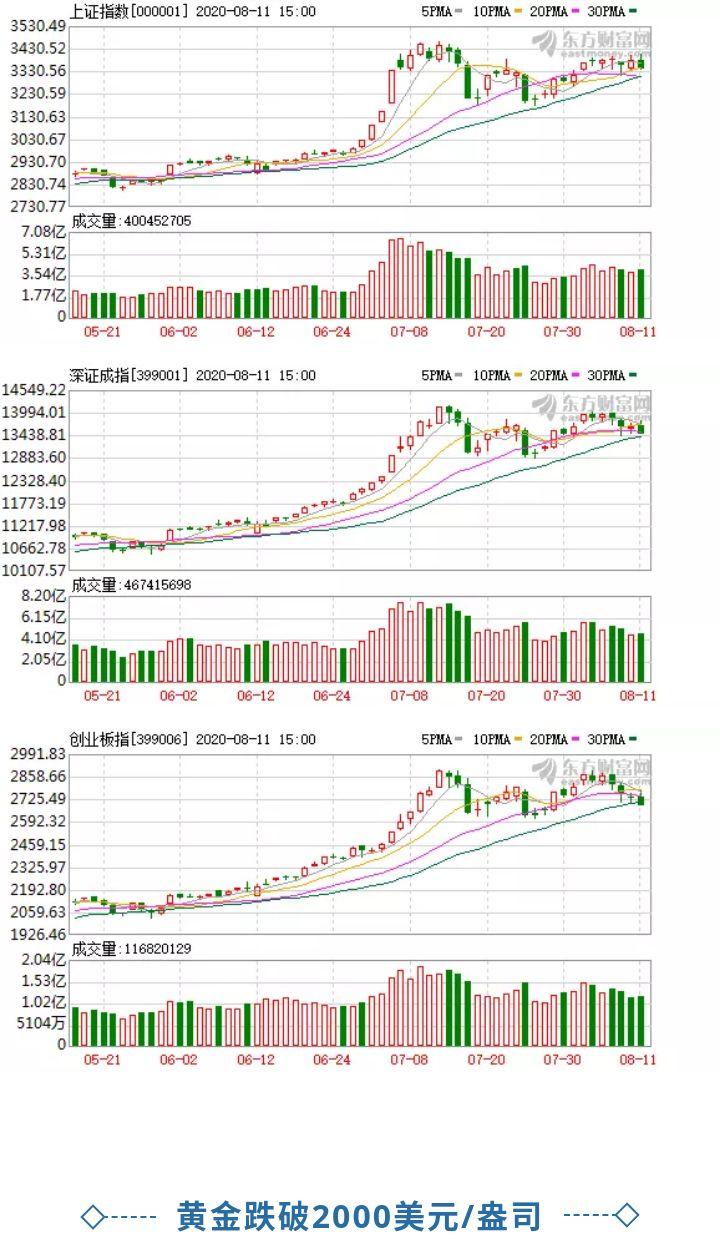 新澳门彩出码综合走势图表大全，深度解析与实际应用