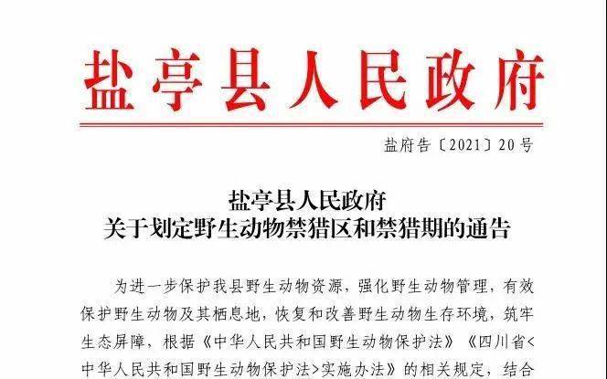 关于跑狗图库大全与商关释义的探讨，落实与实践的完美结合